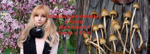 ПСИЛОЦИБИНОВЫЕ ГРИБЫ Абдулино