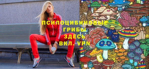ПСИЛОЦИБИНОВЫЕ ГРИБЫ Абдулино