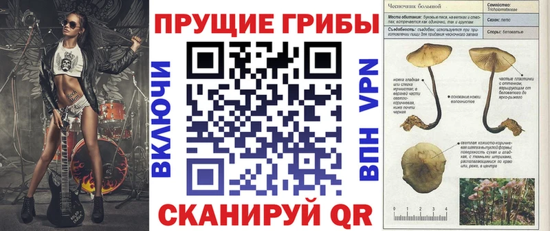 закладка  Тимашёвск  Галлюциногенные грибы мицелий 